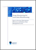 Usage Monitoring for Lean Data Warehousing